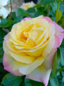 IMG_20240623_195704_425.jpg
