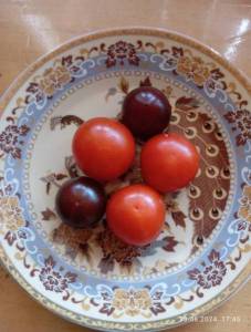 IMG_20240630_174550.jpg