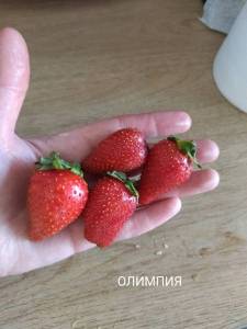 IMG_20240630_194548.thumb.jpg.10a54d2b824bf8cb1706c90f5baebdcf.jpg