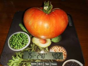 IMG_20240701_193057.thumb.jpg.2c4a7e553672661baad854bd9029a48d.jpg