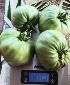 IMG_20240702_120200.thumb.jpg.7c2b32ceaaaaf51aa8aec866ddd5cb7d.jpg