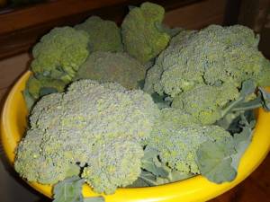 IMG_20240702_203344.thumb.jpg.e83bfbeae14d228b4fee4ec83fdd87f8.jpg