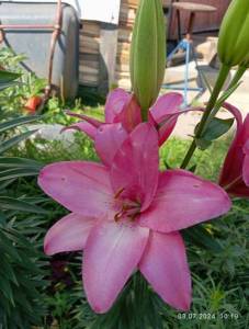 IMG_20240703_101916.jpg