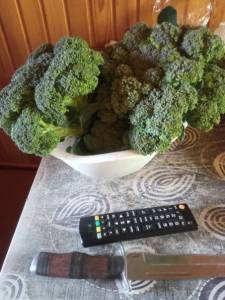 IMG_20240703_130730.thumb.jpg.dc65c55f5c5d89a0bdc70ca7335dd361.jpg