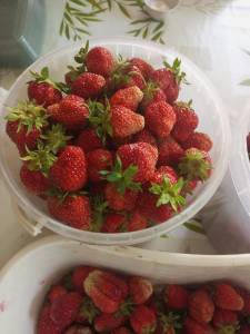 IMG_20240704_155623_686.jpg