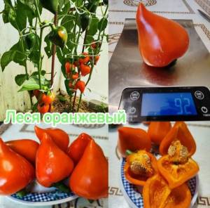 IMG_20240705_071425.thumb.jpg.aed9b6bc5a94c42d3d78f201ecb1eaf9.jpg