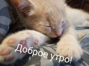 IMG_20240709_070843.thumb.jpg.2ed1fc69c9931c104ad0b2cd5969b311.jpg