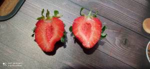 IMG_20240709_171346.jpg