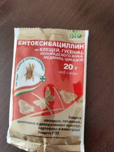 IMG_20240711_154425.thumb.jpg.8d081495cb462db63a8a79de41ea73b1.jpg