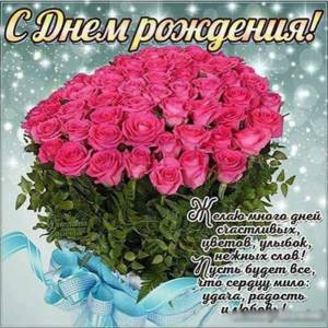 IMG_3492.jpeg