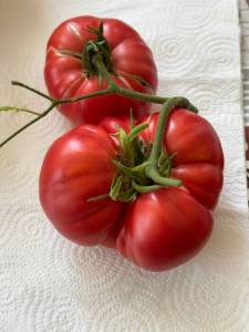 IMG_3507.jpeg