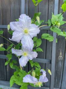 IMG_8053.jpeg