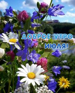 createpics_ru_19076.jpg