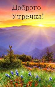 ewalls_ru_16027.jpg