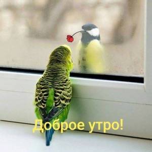 ff3045504b1b659d0a3dffeaac3bff5b.thumb.jpg.21df7e3da03fa98cf2b8d79c54d8c33c.jpg