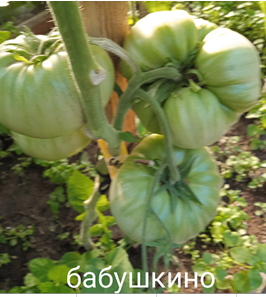 image.png.415a17bae7e78da9f88c1ee2187866b4.png