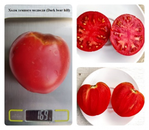 image.thumb.png.0e6bfc8f3fbe6fc6a3525d9cb812bfed.png