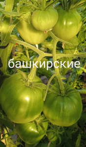 image.thumb.png.4de52c76dd846aa7c5679781e0cc1273.png
