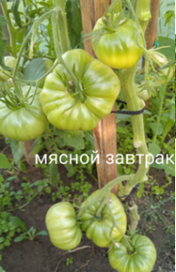 image.thumb.png.5d7fe04418f8e41f350cf0ce1a991c92.png