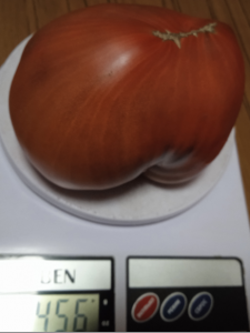 image.thumb.png.687b95202de39b200a09f06a15cd503e.png