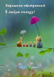 image.thumb.png.8267b27cb36562c4e2a65637c9d58543.png