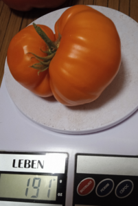 image.thumb.png.93eabce4abd4012ab61f6ff85e90ff38.png