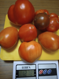 image.thumb.png.a768cbb88baeb81ba8133d7656a6820a.png