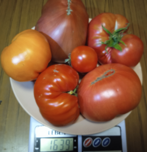 image.thumb.png.ac0fd5480326b9c961063c78e42323b1.png