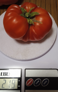 image.thumb.png.c35862c37f862f8fa5163720506b9dd7.png