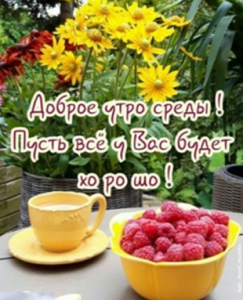 image.thumb.png.e02ae61aa44688d34439dd4ff5bba89c.png