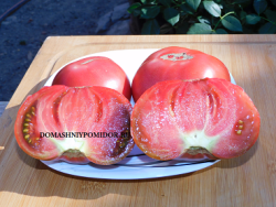 1пунги DSCN9857.png