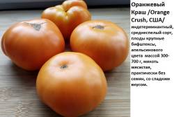 ОРанжевый краш.jpg