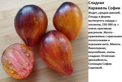 Сладкая карамель Софии.jpg