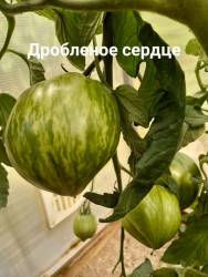 20240703_122928.jpg