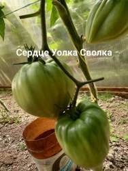 20240703_124552.jpg