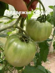 20240703_124754.jpg