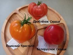 20240712_185828.jpg