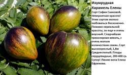 ИЗумрудная карамель Елены.jpg
