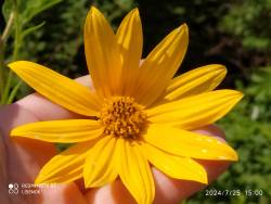 IMG_20240725_150012.jpg