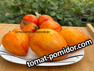 large.1035961907_13.png.90c545bdc8e40d3b9d5c2f503b561475.png