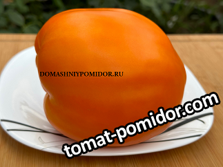 large.403352746_13.png.104a37506b61bdb85ff0540dbb8b473d.png