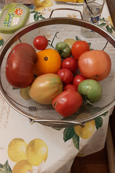 tomato (1).png