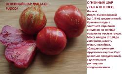 ОГненный шар.jpg