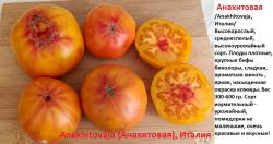АНахитовая.jpg