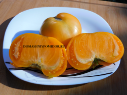 1жёлтый каменный дом тёти эулы DSCN9850.png