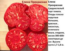 Елена прекрасная.jpg