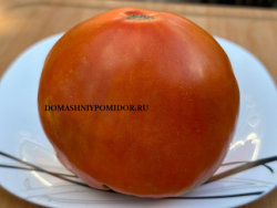1мясник красный 3.png