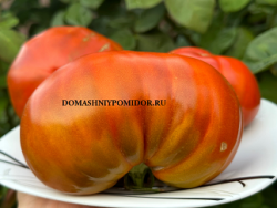 1рубиновый сюрприз1.png
