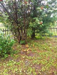 IMG_20240825_143500.jpg