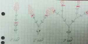 scale_720 (9).jpeg